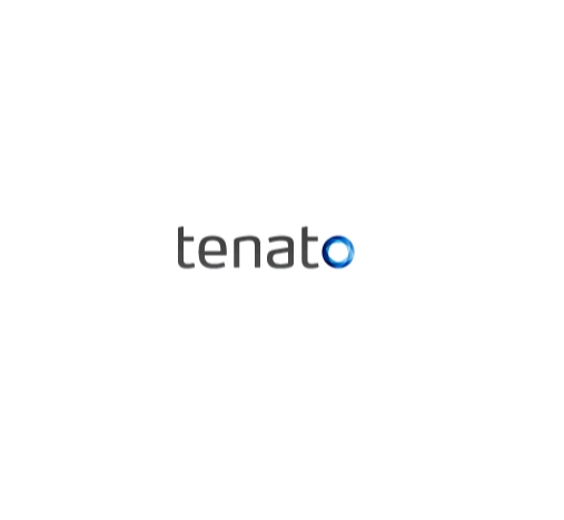 Tenato Strategy Inc.