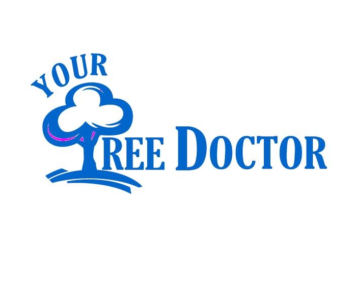 Your Tree Doctor